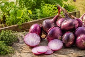 Les multiples facettes de l'oignon rouge : de la saveur en cuisine aux secrets du jardin et au-delà