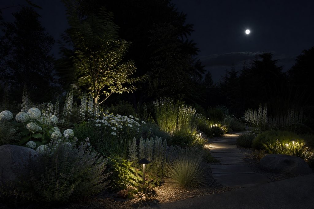 Éclairage naturel, décoration extérieure et respect de la faune nocturne